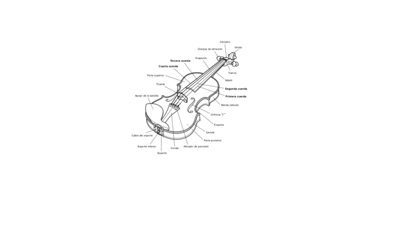 Archivo:Partes del violin.png