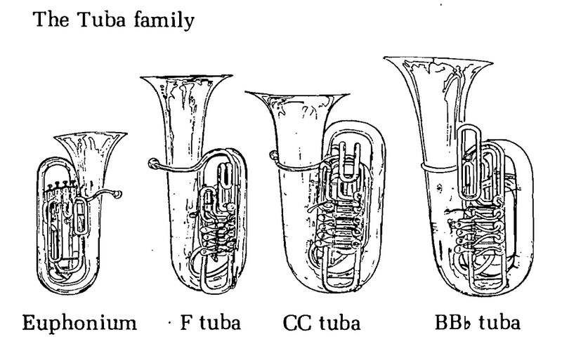Archivo:Tuba-familia.jpg